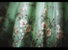 f007.JPG